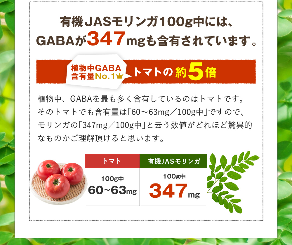 有機JASモリンガ100g中には、GABAが347mgも含有されています。植物中GABA含有量No.1のトマトの約5倍