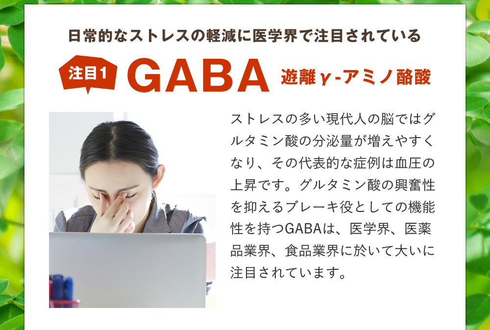 【注目1】日常的なストレスの軽減に医学界で注目されている GABA（遊離γ-アミノ酪酸）